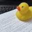 L’avis du canard en plastique – TGIF